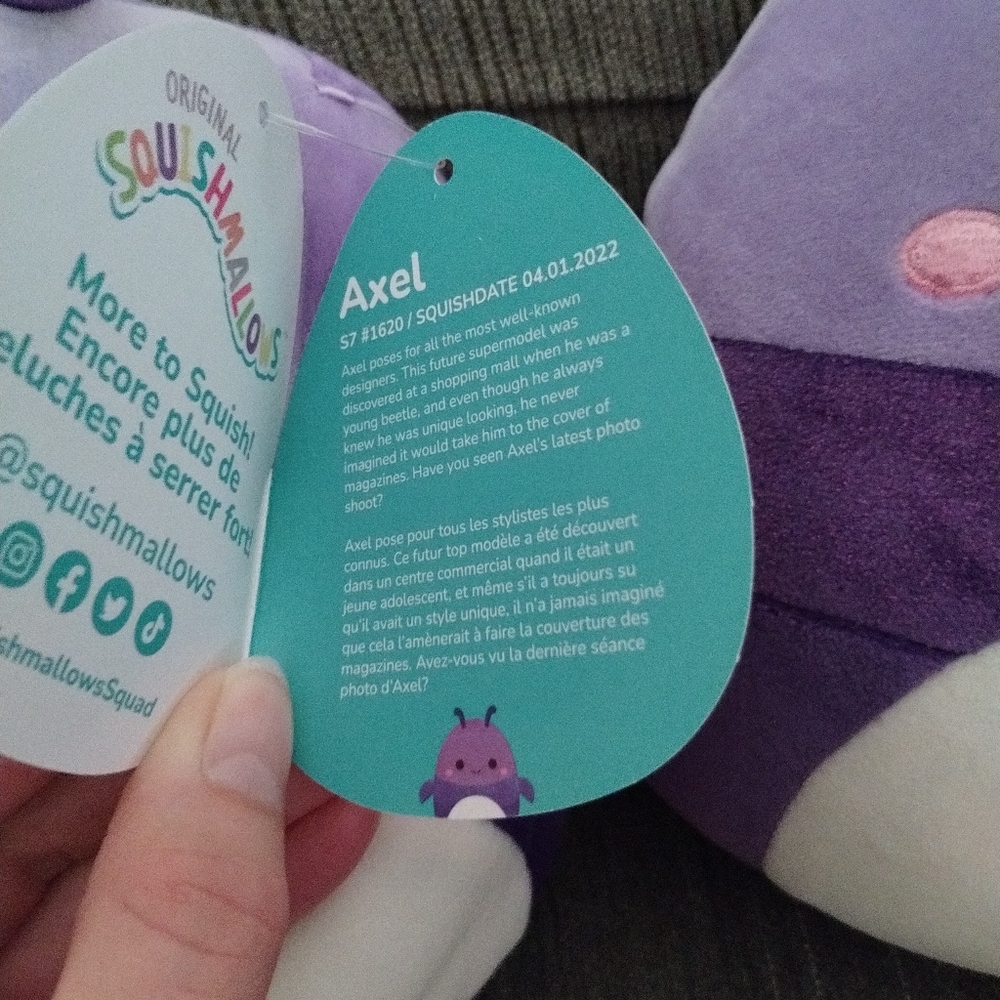 NWT PAIR of Beetle Squishmallows!! - Picture 3 of 5
